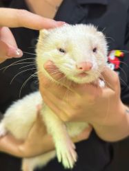 -Zoolung Zoolung动物主题公园(海信广场店)