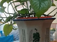 -味好美土菜(迎宾东路店)