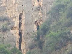 -神农溪纤夫文化旅游区