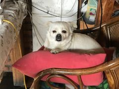 -哈尔滨北方国际青年旅舍(中央大街店)