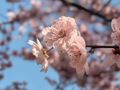 -木塔寺遗址生态公园