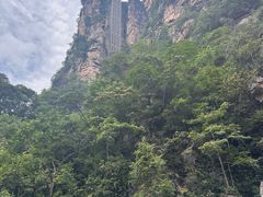 -吃饭皇帝大·土家民族菜(武陵源店)