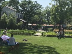 -田园东方蜜桃村的田野营地