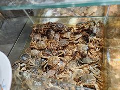 -领鲜活海鲜榴莲自助火锅(东门店)