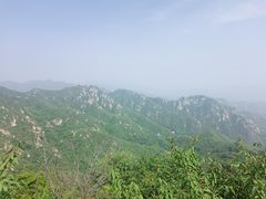 -大岭沟猕猴桃谷风景区