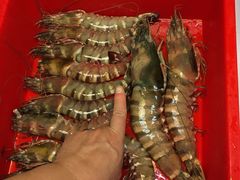 -ZF Seafood Restaurant 卓峰海鲜餐