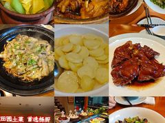 -杨厨的田园饭店(长城路店)