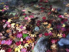 -本溪老边沟风景区