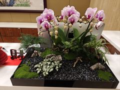-太平洋PACIFIC SPA•奢睿水疗(万象城店)
