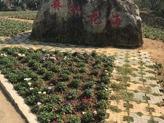 -广州市流溪河国家森林公园