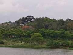 -广东花都湖国家湿地公园