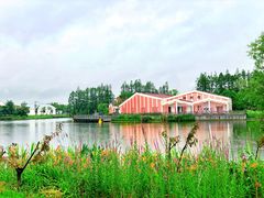 景点-上海长兴岛郊野公园