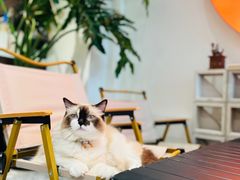 -seeu coffee(江滩店)