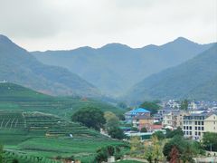 -龙坞茶村
