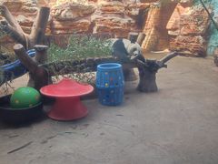 -石家庄市动物园