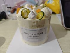 -山与蓝·轻糖鲜果蛋糕(勒泰店)