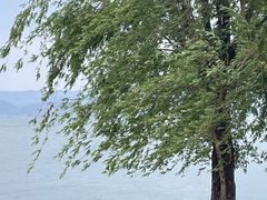 -大理洱海