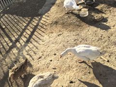 -北京君和豪生温泉度假酒店