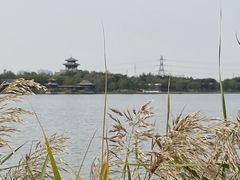 -水西公园