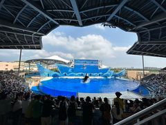 -上海海昌海洋公园
