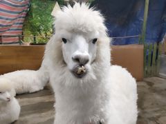 -上海大自然野生昆虫馆