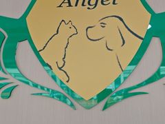 -天使宠物医院·犬猫分诊(彩虹店)