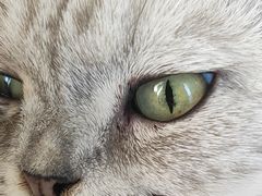 -宠颐生动物医院·心脏科·保险定点(锦阳分院)