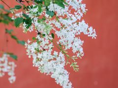 -国家植物园