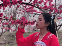 -秀丽东方