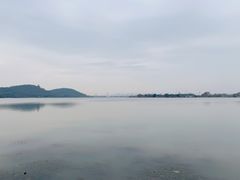 -东湖落雁景区