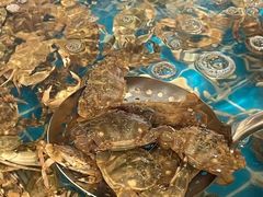 -海草馆自助餐厅(悦海店)