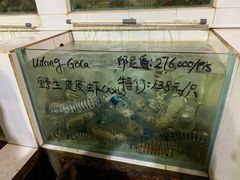 -海盗餐厅