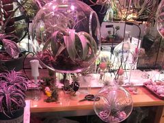 -朝来春花卉市场