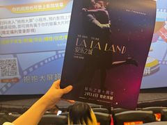 -华谊兄弟影院(IMAX洋桥店)