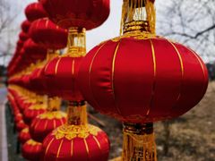 -国家植物园