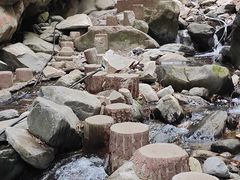 -黑河国家森林公园
