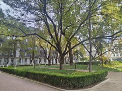 -北京中医药大学-中医药博物馆