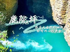 -鹿院坪生态旅游景区