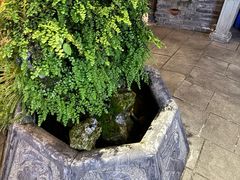 -苏家大院庭院式老火锅(高灯北街店)