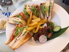 -Fern Forest Cafe