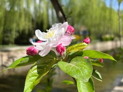 -元大都城垣遗址公园