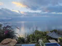 -野菌皇海景野生菌火锅(滨海大道店)