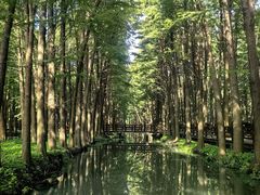 -溱湖国家湿地公园