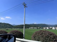 -花岩国家森林公园