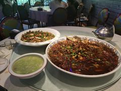 -新概念来凤鱼(璧山店)