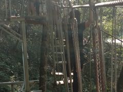 -龙岩森林水乡景区