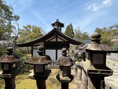 -奈良公园