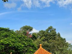 -大屏嶂森林公园