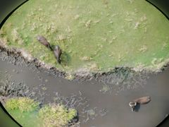 -中国湿地博物馆
