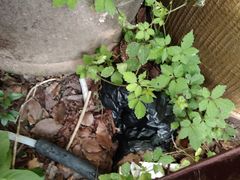 -龚家花园农家乐休闲别墅